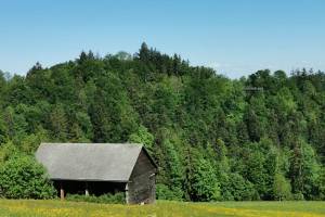 Haselgrund, Blick zum Baumwipfelpfad Neckertal