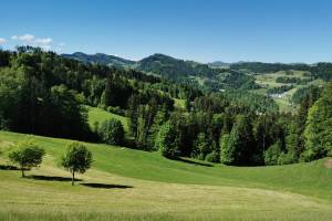 Beim Baumwipfelpfad Neckertal