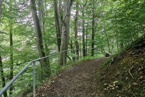 Gstaldenbach-Tobel Heiden