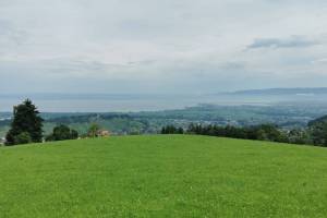 Bei Wolfhalden, Blick zum Bodensee