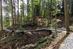 Witzweg zwischen Wolfhalden und Walzenhausen