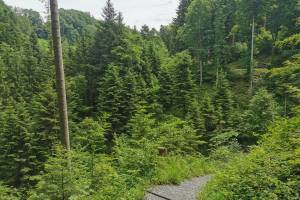 Witzweg zwischen Wolfhalden und Walzenhausen