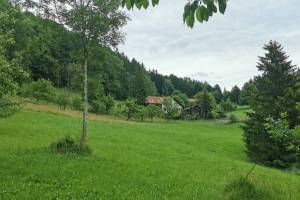 Witzweg zwischen Klus und Sonder