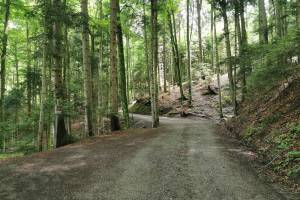 Witzweg, bei Walzenhausen