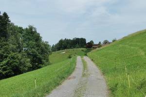 Witzweg, bei Walzenhausen