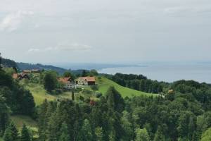 Witzweg, bei Walzenhausen