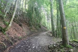 Aufstieg nach Hirschwendiberg