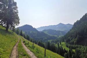 Hirschwendiberg