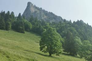 Hirschwendiberg