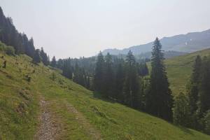 Schneebärgli