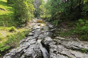 Bärselbach bei Chüblisbüelegg