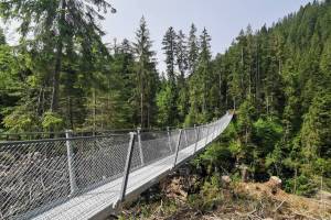 Hängebrücke 