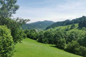 Bei Silisegg