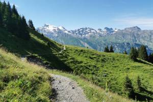 Zwischen Sädelegg und Brunnihütte