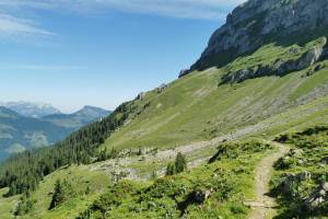 Zwischen Walenalp und Sädelegg