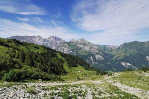 Zwischen Walenalp und Sädelegg