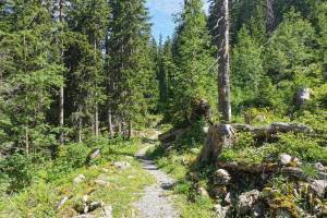 Zwischen Walenalp und Sädelegg