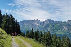 Zwischen Walenalp und Sädelegg