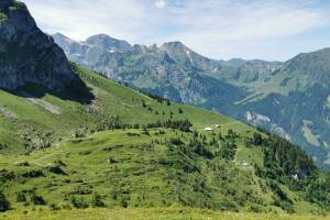 Walenalp