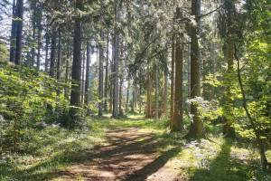Aufstieg nach Combe Robin