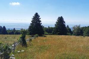 Zwischen Combe Robin und Mont Sujet