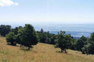 Zwischen Combe Robin und Mont Sujet