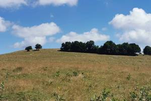 Kuppe des Mont Sujet