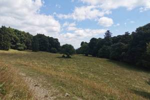 Zwischen Bergerie du Bas und Les Prés-d'Orvin