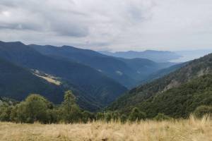 Alpe di Neggia