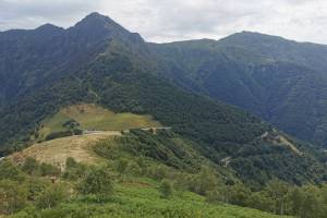 Alpe di Neggia