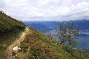 Monte Gambarogno