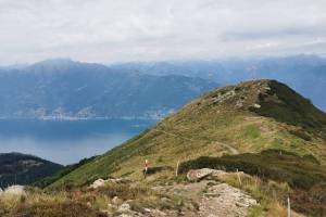 Cugnoli della Muda
