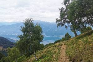 Cugnoli della Muda