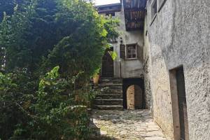 Indemini