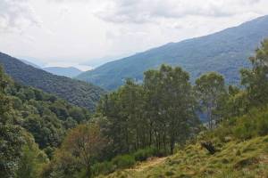 Val Veddasca