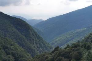 Monti Idacca