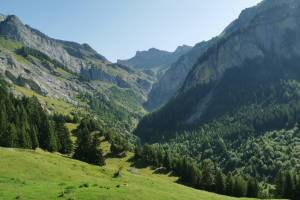 Vallée de la Lizerne de la Mare