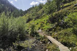 Beim Lac de Derborence