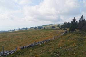 Mont Racine