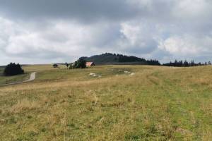 Rochers Bruns