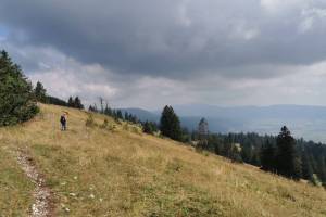 Rochers Bruns