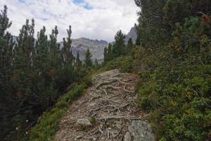 Aufstieg oberhalb Alp Tavrü