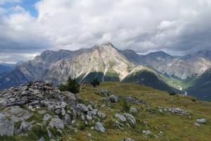Mot Tavrü