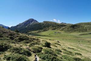 Alp Astras