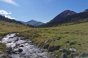 Clemgia, Alp Astras