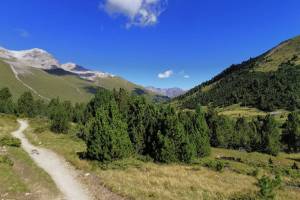 Alp Astras