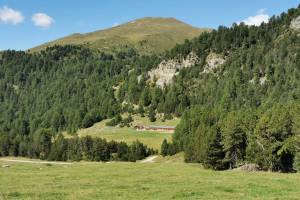 Alp Champatsch