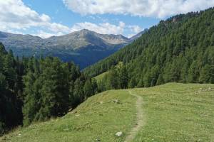 Alp Champatsch