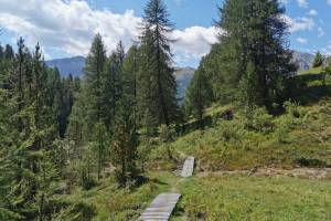 Unterhalb Alp Champatsch Unterhalb Alp Champatsch