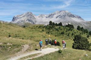 Oberhalb Alp Champatsch Oberhalb Alp Champatsch